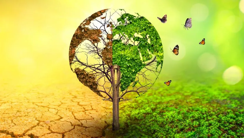 geef de aarde een stemnivon