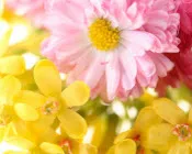 ghq31myhbtqz7ev1l4h9frib3 151729