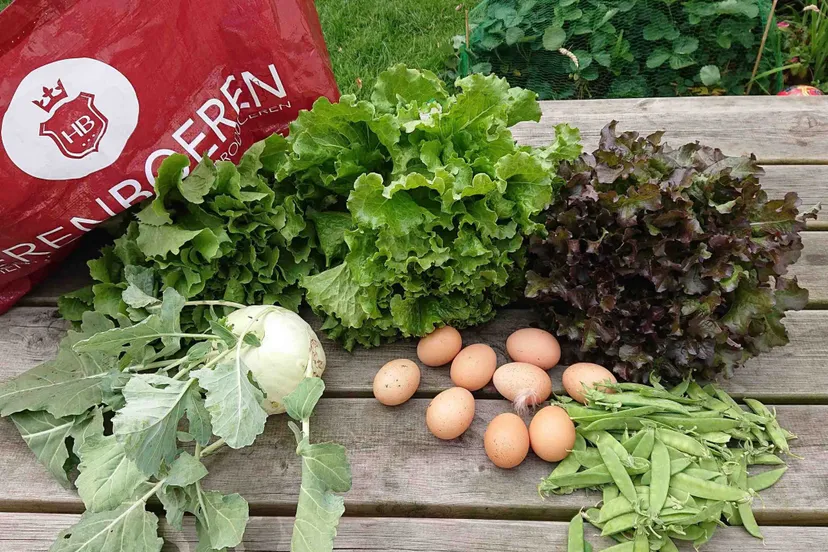 groenten 2 scaledherenboeren