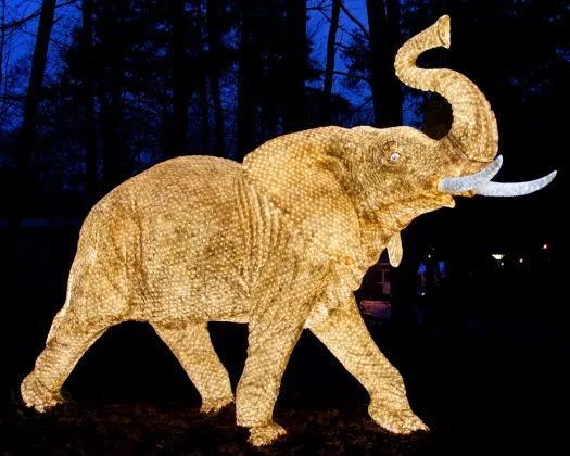 h1ig1h5rqo8iqr0o2roeusw4p 200212