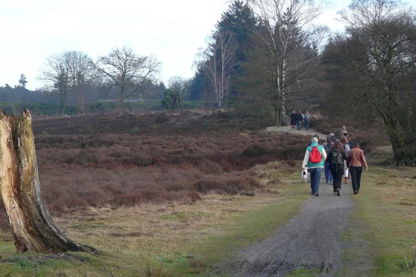 h5az7wit3qs8ri5anfzgzgehj warnsborn