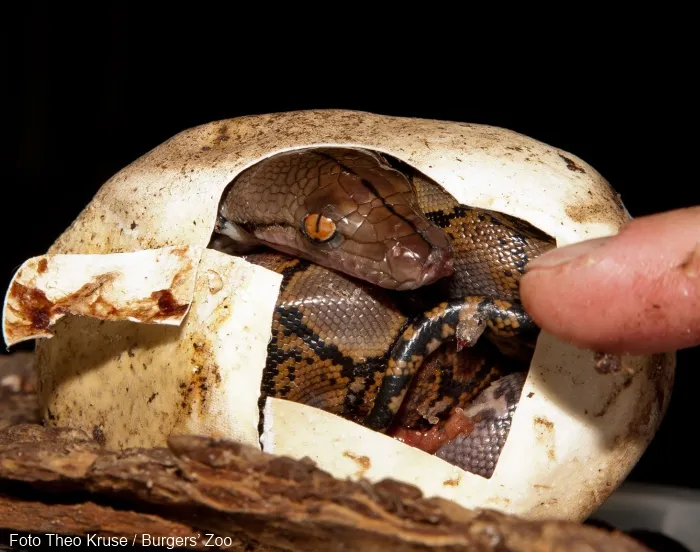 h6nsc8qu52dy8ecqt8onelj0o 151807