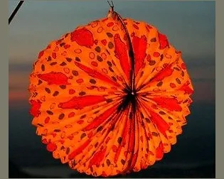 h82z5zjtnw3wx5oamfwhwgxdl 186793