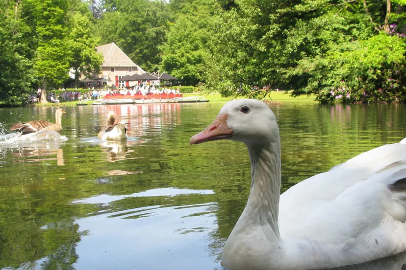 hbhqxmc5cwel5kvo0ufr34l6h vlot10eend