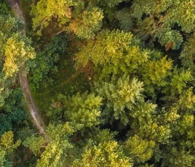 heidepol de week van de wandeling natuurbegraven nederland