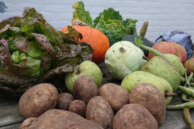 herenboerderijarnhemnoord dsc 2281