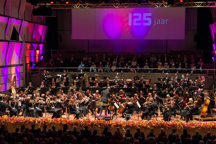 het gelders orkest rknoop