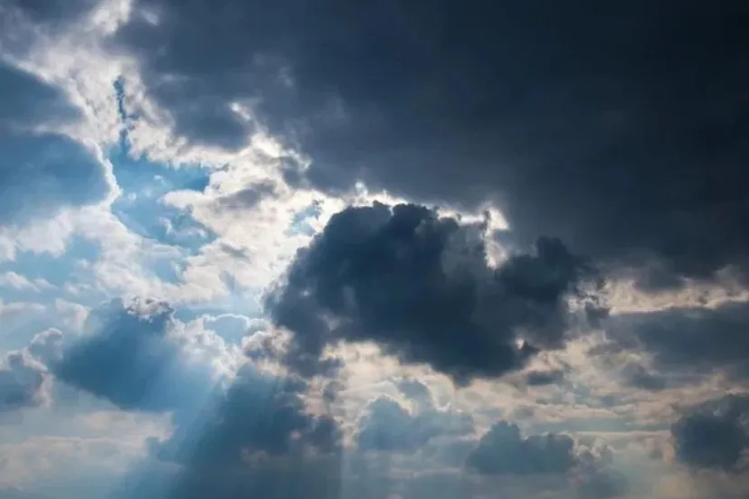 hondsdagen starten met wisselvallig weer2cco