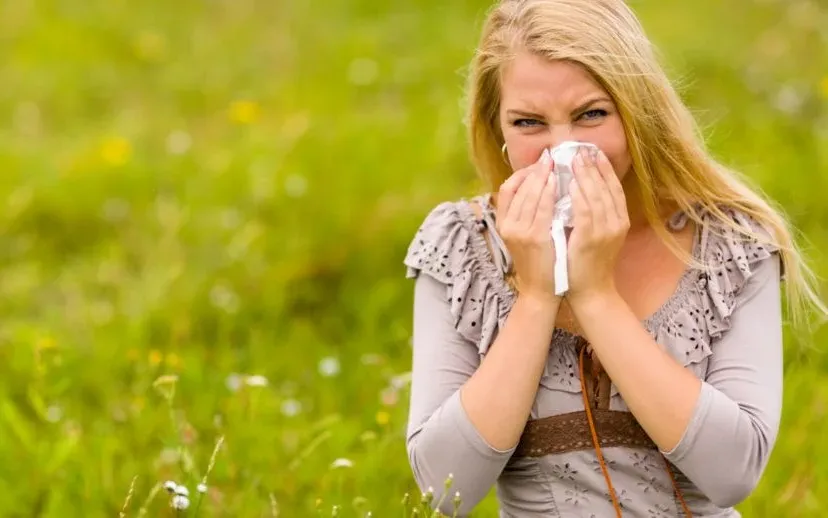 hooikoort petr kratochvil public domain 915x518