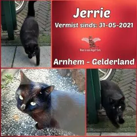 jerrie kater vermist n