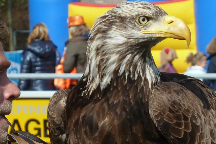 jflssfy27lfhy0iye6qu0l38e velp schvoetb 3apr2013 lin 16