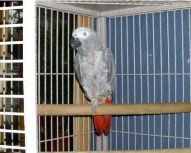 jg1t0p03hetqp66hm3h01kmwy 156526