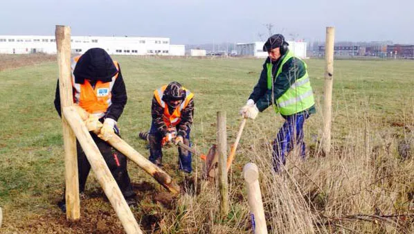 jjdrij9783vpbonwo7s95zf0c 29 0120afbeelding