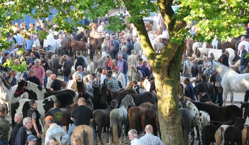 k7g2vedgmv5dz66sk1863n6j3 dsc3634kopie