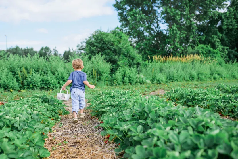 klimaatbestendigkind in buurttuin