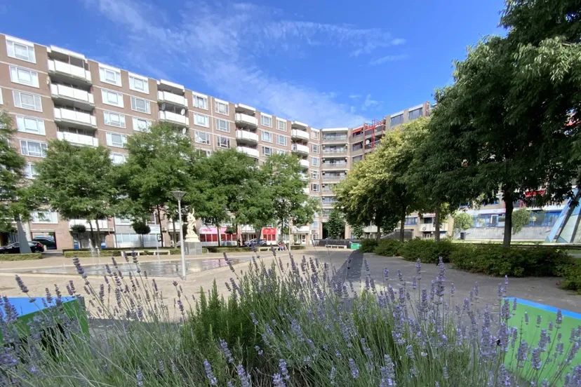 kronenburggem arnheminput