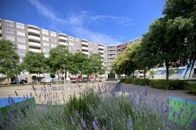 kronenburgvernieuwtgemeentearnhem