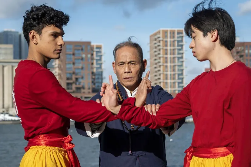 kung fu leeuw st 3 jpg sd low