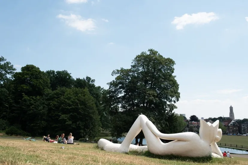 kunst3 12 foto lazy king