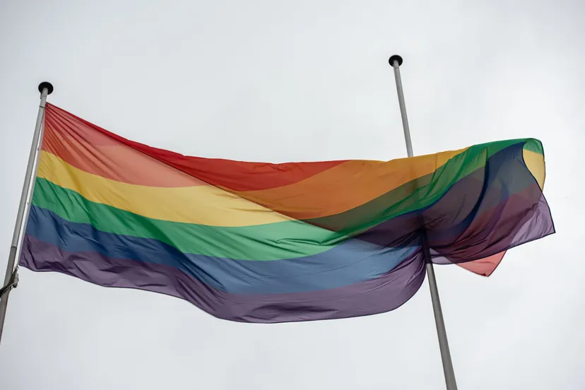 lhbtdiversiteitinput