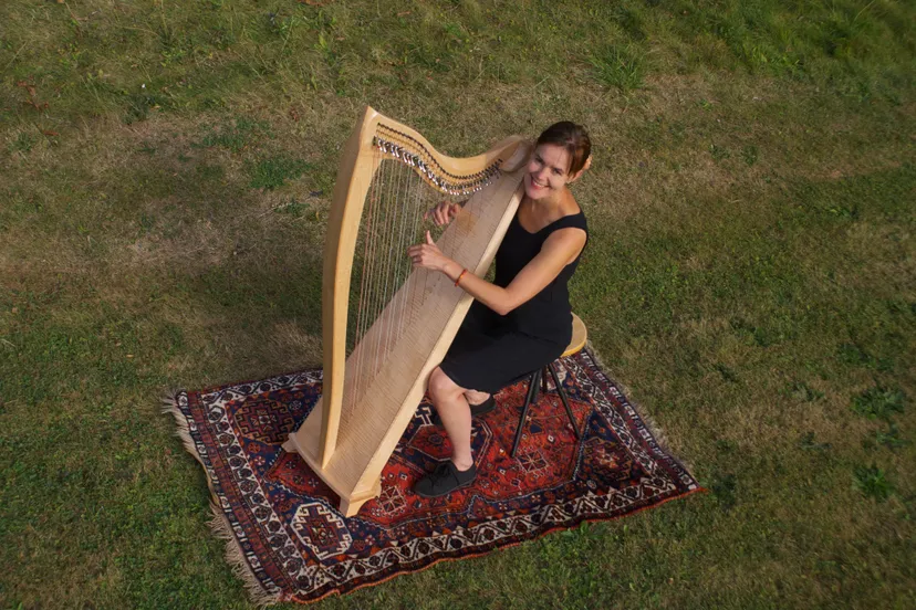 lies joostenjansenen defeijter