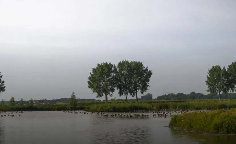 lingezegenivnrijnwaalnatuurwandeling in landschapspark lingezegen