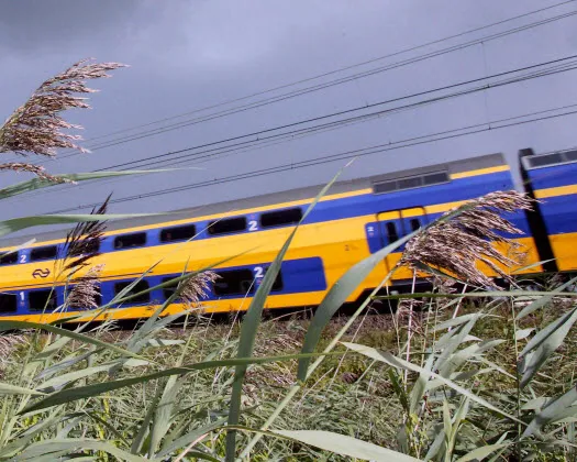 lz8965b30jrrq9v48m3q6fzuk 215514