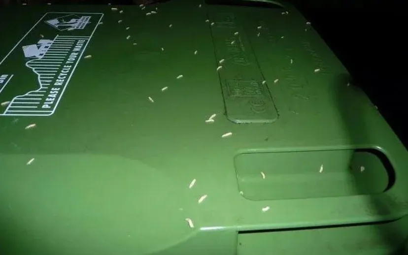 maden 915x518brokenkeyflickr