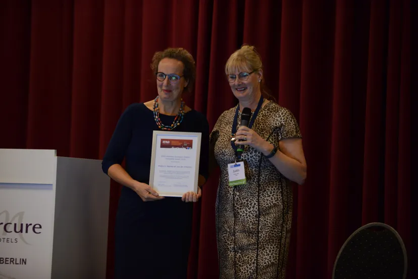 marian de van de schueren installatie 31