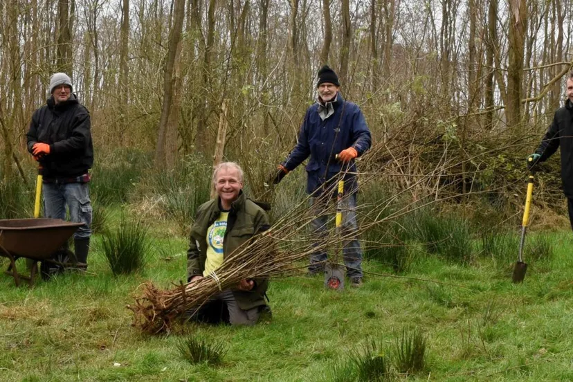 meerbomen nu dsc0072 2 2048x657 1