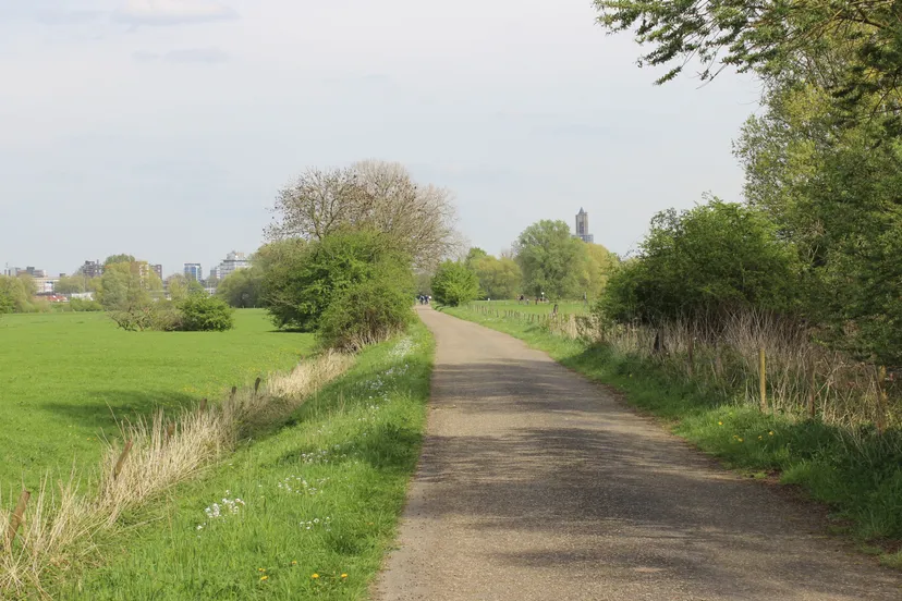 meijnerswijk arnhem nieuws 6