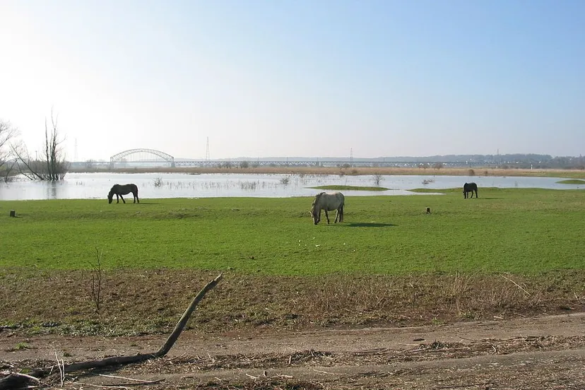 meinerswijk3trilo wikipedia1024px