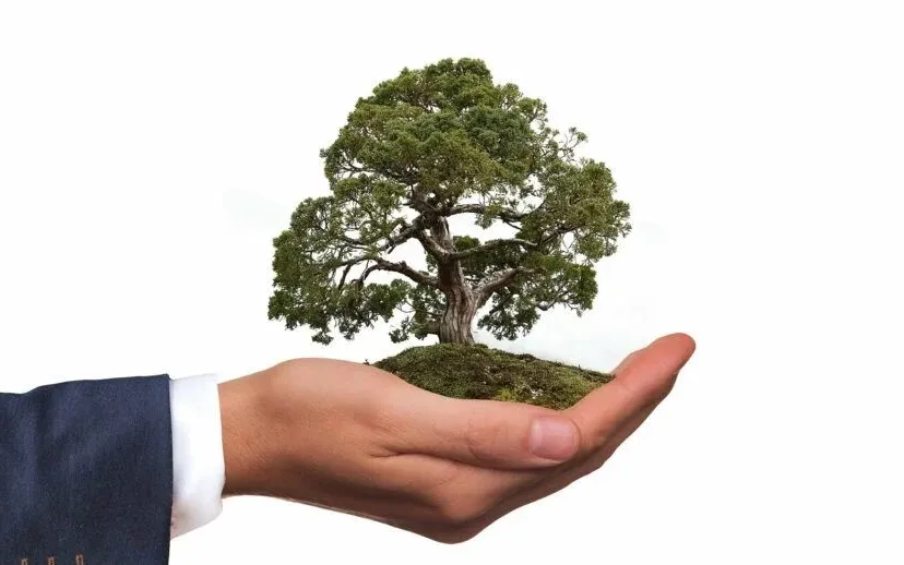 mkbmilieu gerd altman pixabay 915x518 1