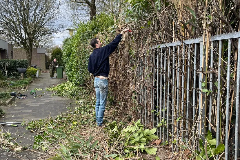 mtvtuindoedag 15 maart 2024