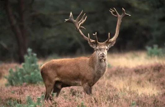 n1e2votqqj7t274yk8cmkwl56 151558