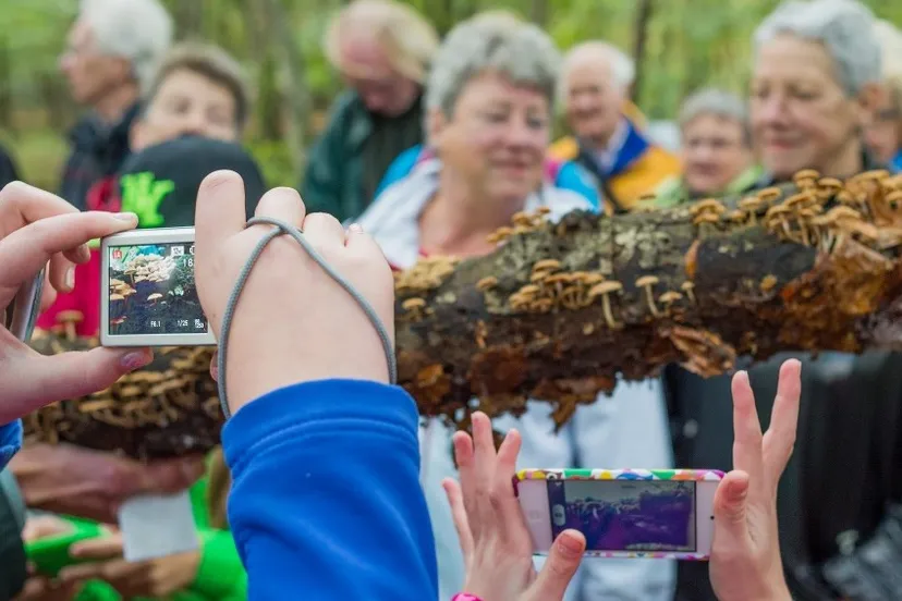 ndck2jhb12o4oal0ys4h17z2h glgkwandeling foto rob schouten