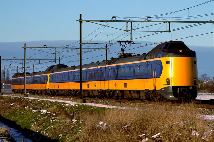 nsmons wikimediaorg koplopers 40914057 haren