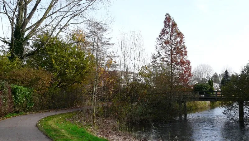 nxvd5rwyddqlps5juhvd7a007 eldervelds groen en blauw arnhemmaria pompe