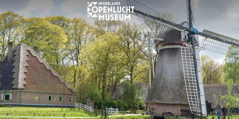 olmmolen wat kun je doen in ons laagseizoen