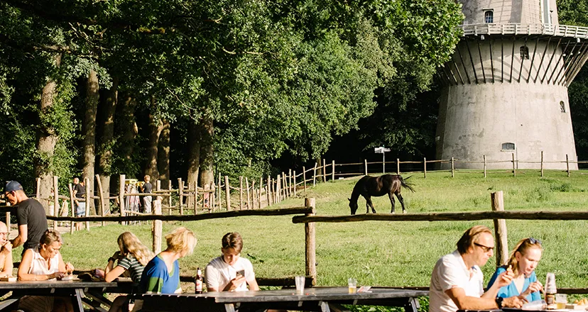 olmzomeravonden2022unnamed4