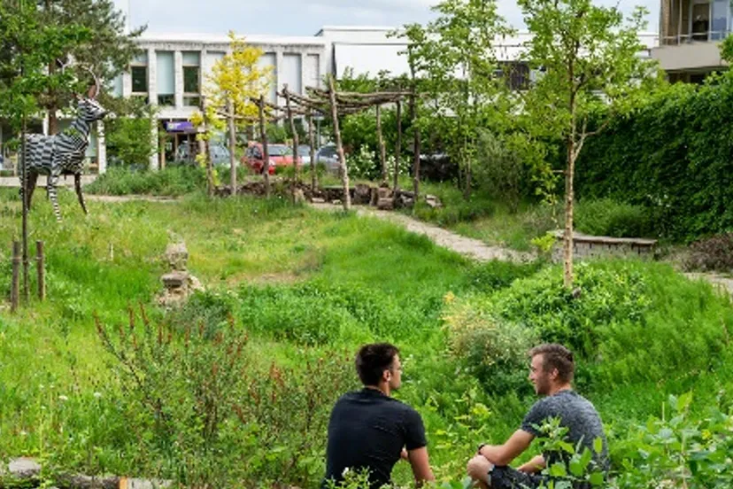 open dag aeres mbo velp