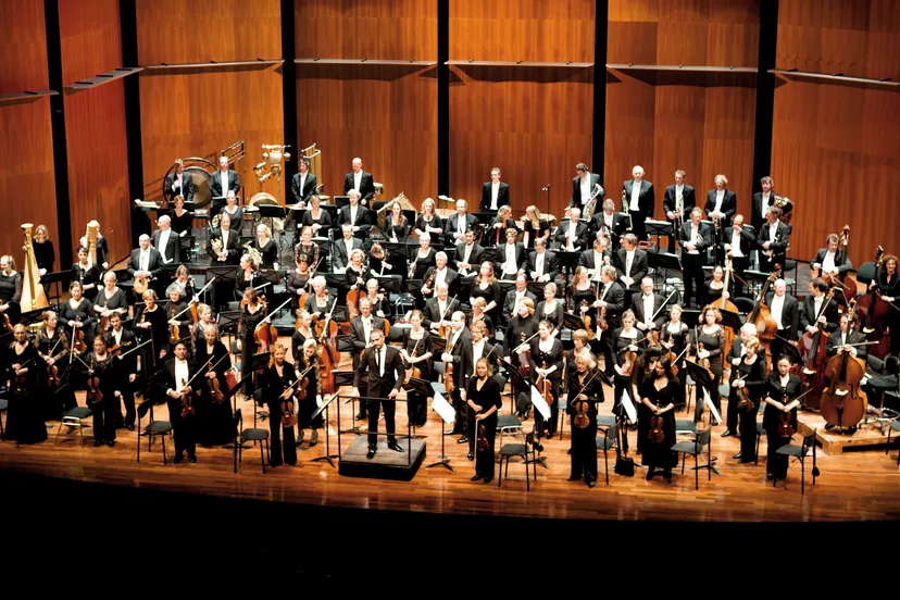 p2l3gd2yxm22zo78mbac51okc hetgeldersorkest