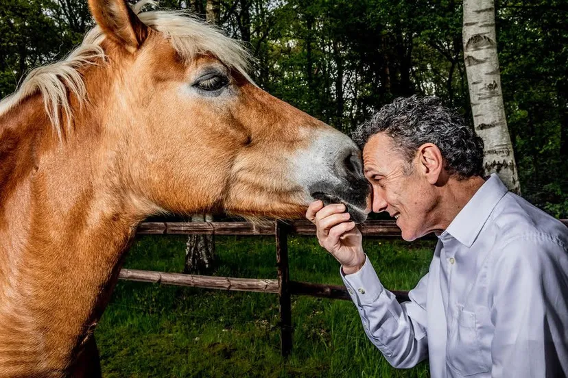 paardencabaretmkdemanvanunnamed