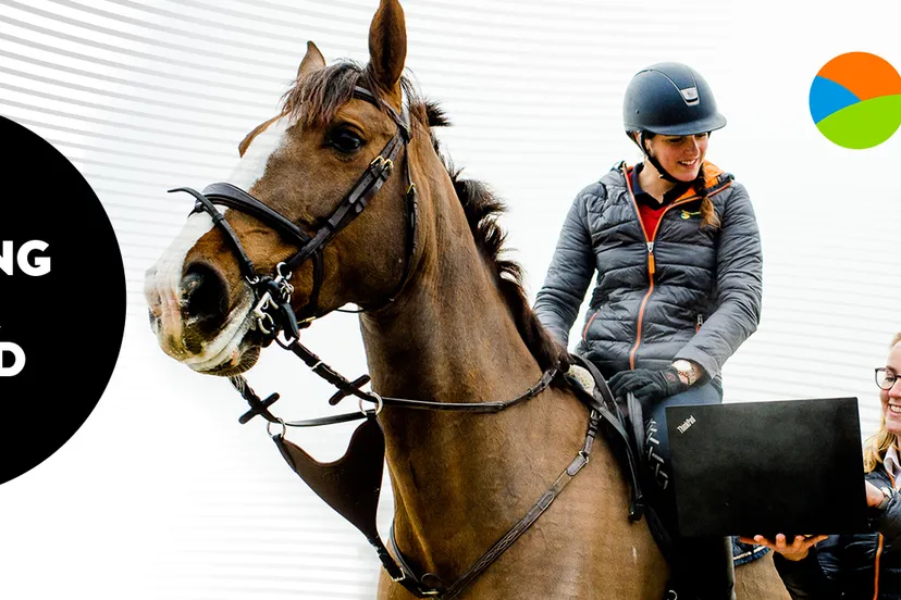 paardenopleiding van hall larenstein