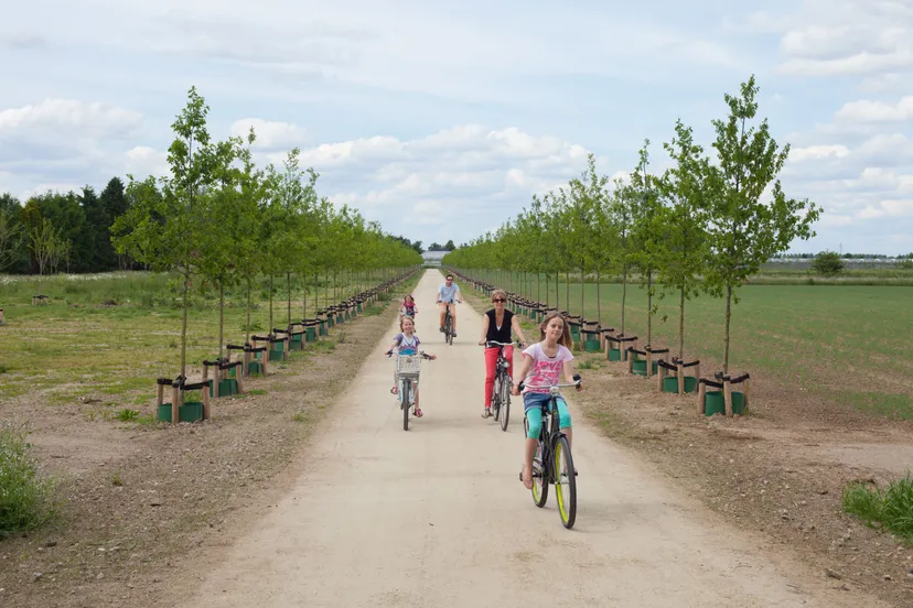 parklingezegenregioarnhemb97087f802e4a430245902188cde1b27c8a6d09b