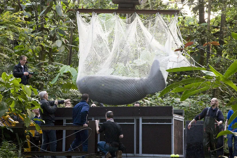 pbp0u4gqpps4znz5nh34dn2ax zeekoeientransport