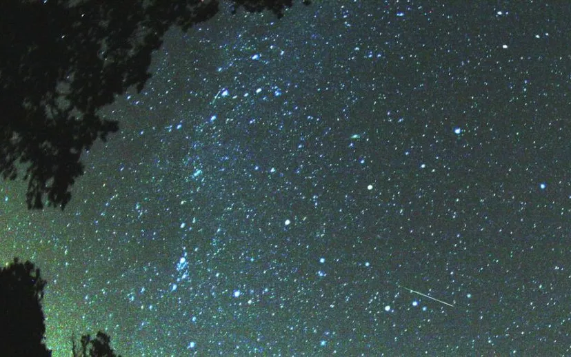 perseidenzwerm2007wikipediascreenshot 20200811 112911 915x518