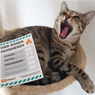 pet resquestickers 2018 09 03 om 190602 1