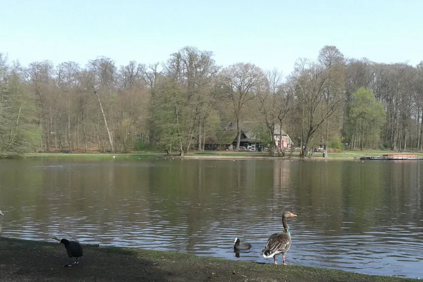 pfwoh4kei4l4zob984spvsh5e grote vijver 11 mei