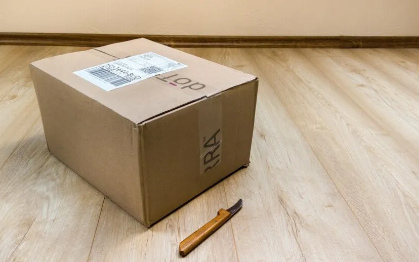 postpakketje devanath pixabay 915x518 1